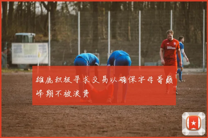 雄鹿积极寻求交易以确保字母哥巅峰期不被浪费